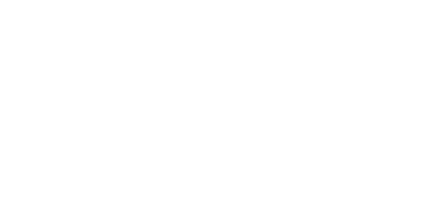 DL Auto Design